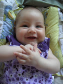 3 meses