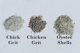 Chicken Waterer: Top Feed Supplements For Chickens
