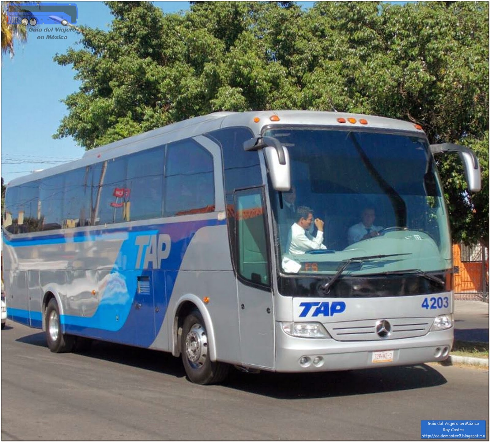 Guía del Viajero en México Viajando en TAP primera clase