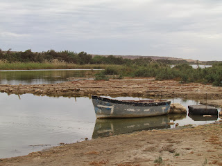 We zijn op weg naar National Park of Souss Massa bij Sidi Benzarne, een dorpje met ongeveer 800 inwoners.