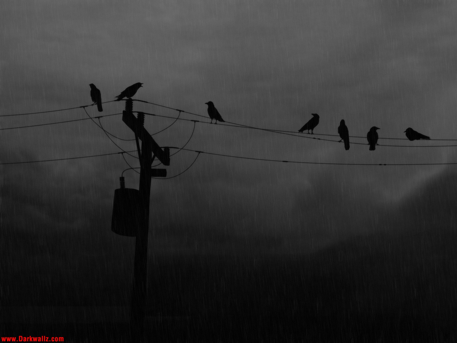 stress free wallpaper