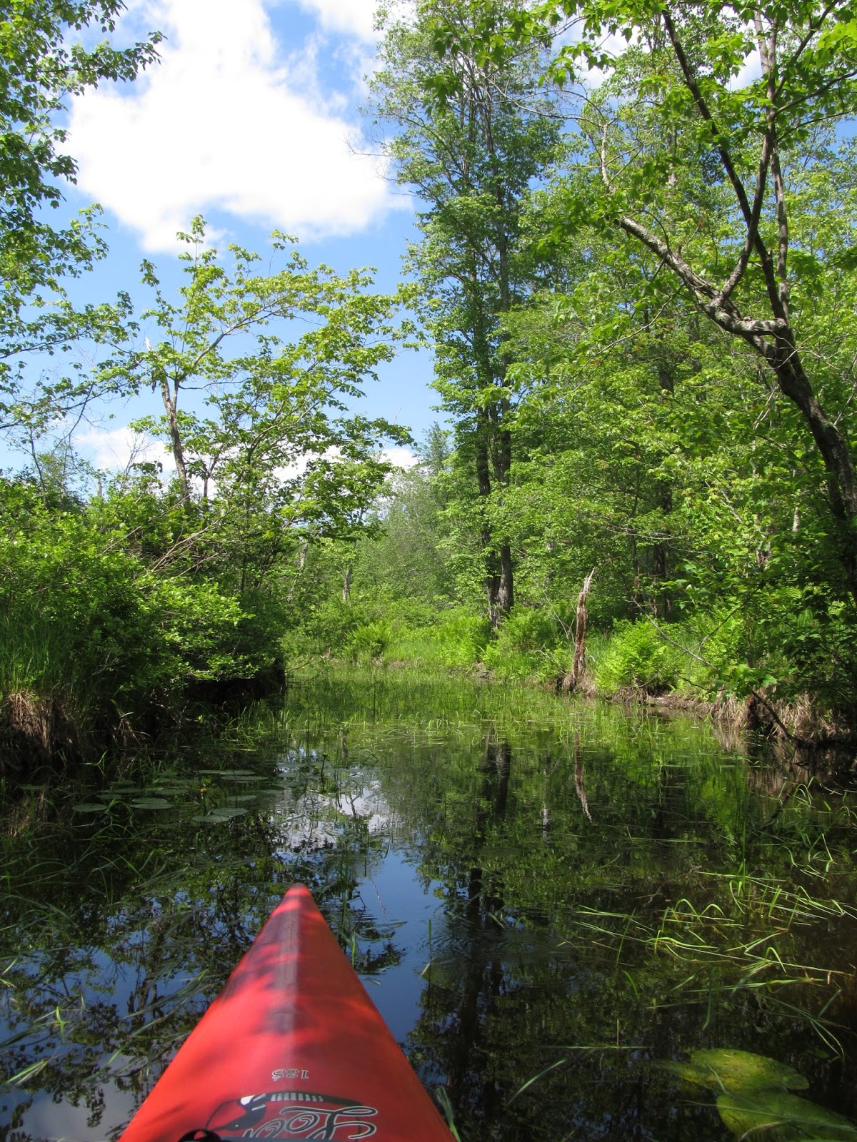 Recreational Kayaking in Maine Upper Pleasant Pond, Richmond, Maine