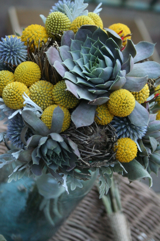 Bohemian Bouquets Craspedia (aka billy balls), globe thistle