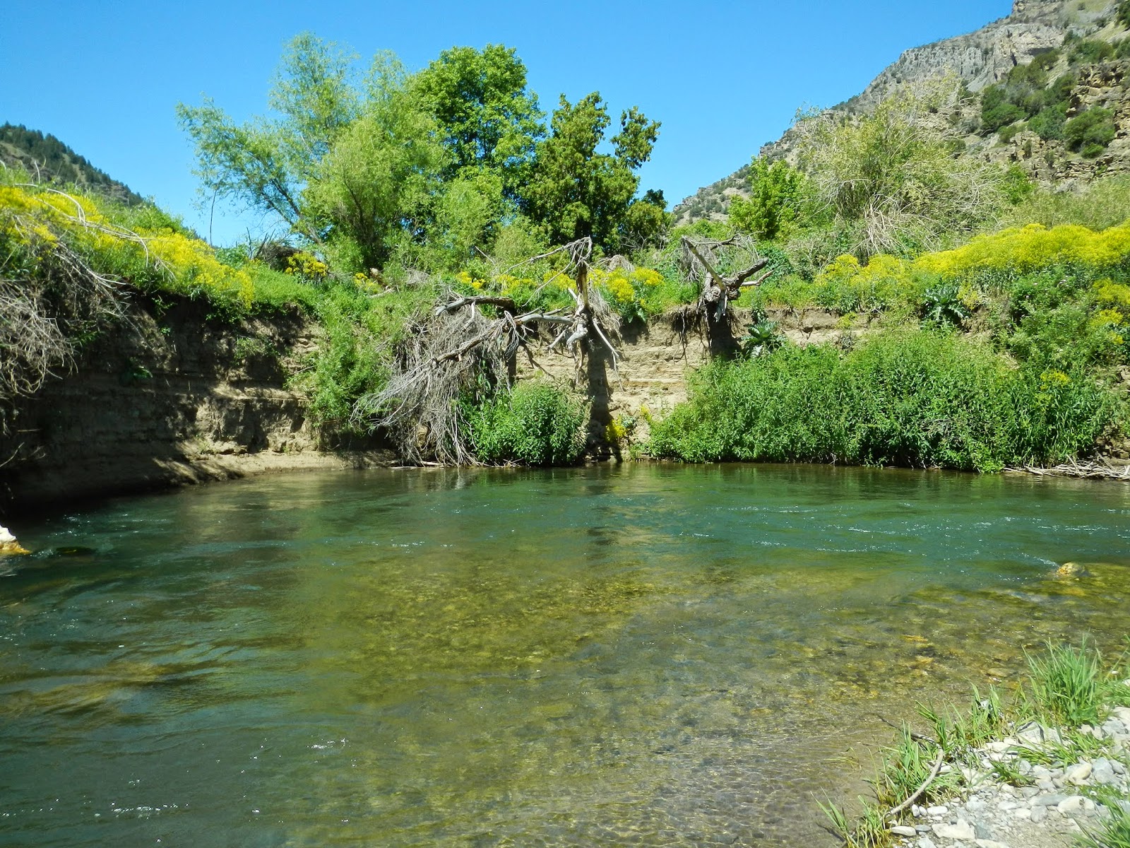 FORREST GLADDING Fly Fishing Blacksmith Fork