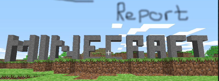 Minecraft Report