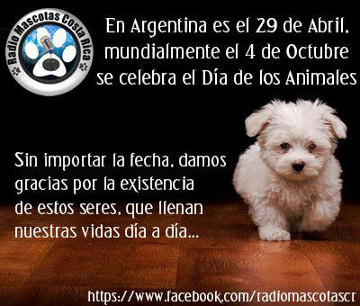 dia-de-los-animales-argentino.jpg