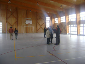 GIMNASIO ESCUELA ANTILHUE