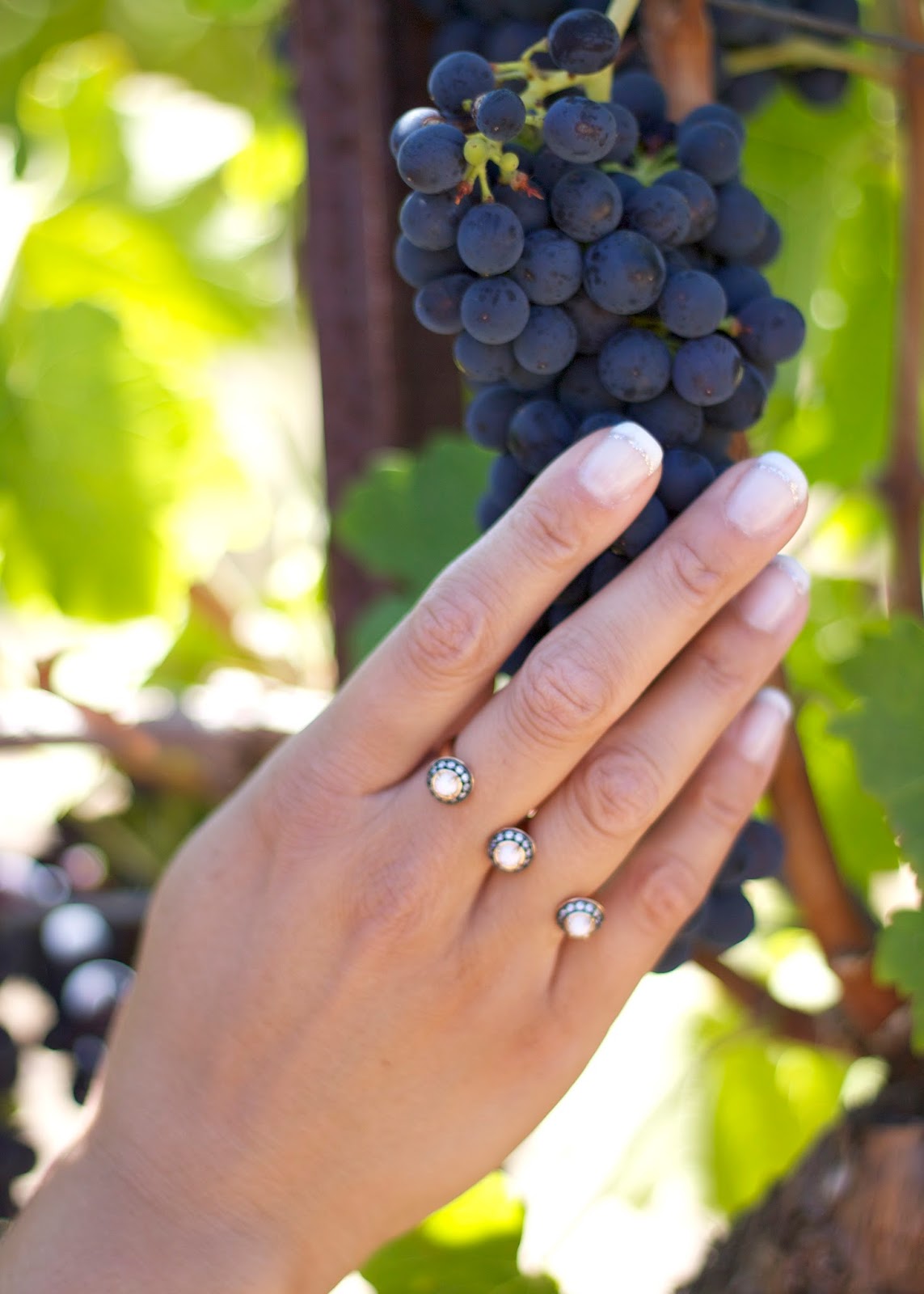lilbitsofchic.com : Wine Tasting Outfit Kendra Scott Ring, Kendra Scott 2 finger ring, Pretty Rings, Summer accessories, perfect jewelry for gifts, modern rings,