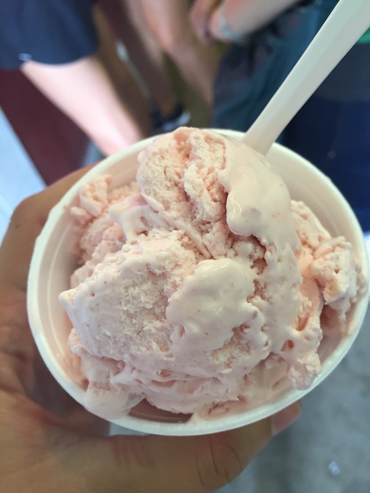 Iowa State Fair Ice Cream