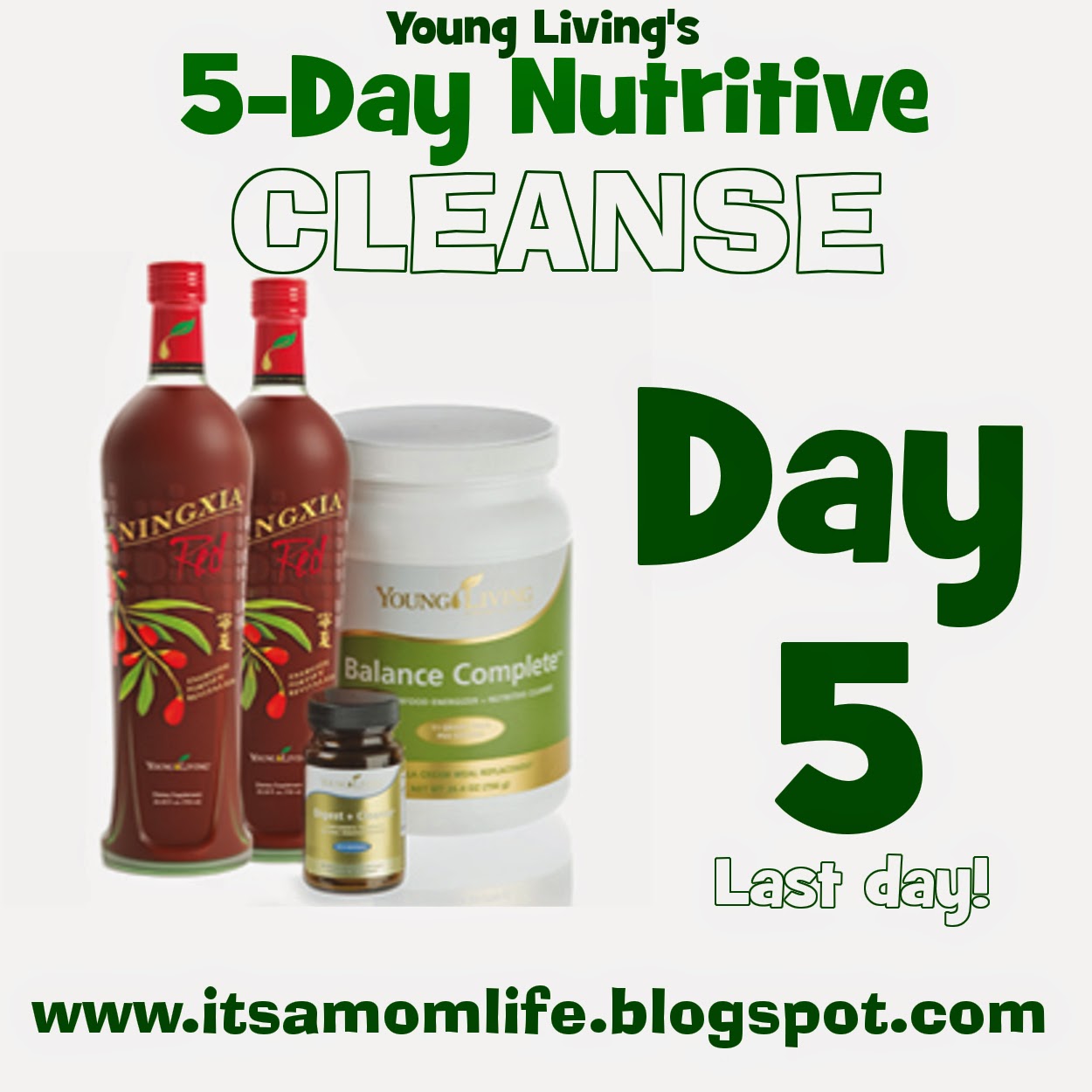 It's a Mom Life Young Living 5Day Nutritive Cleanse {Day 5}
