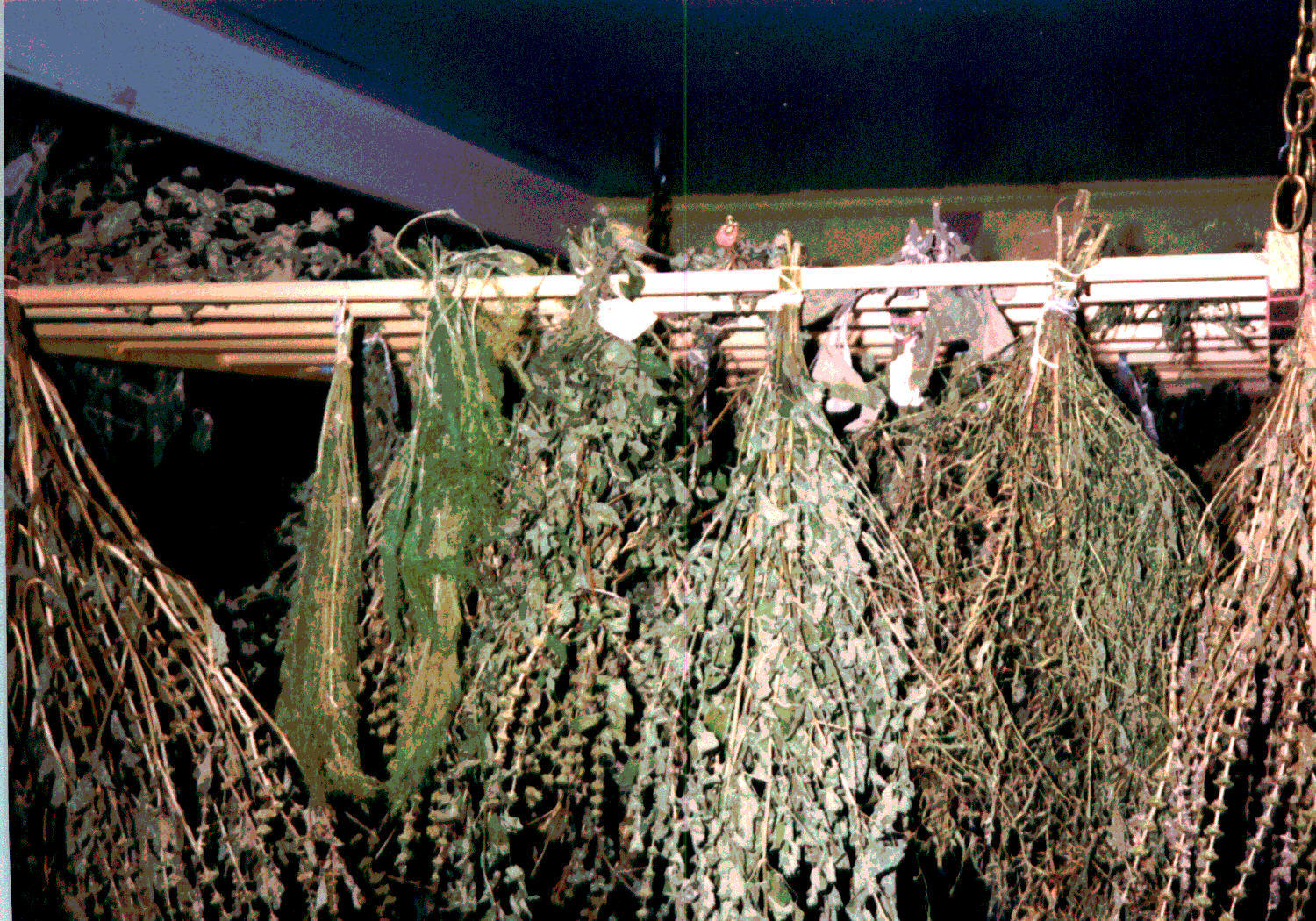Backyard Patch Herbal Blog Drying Your Herbs