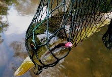 Guided Fishing: