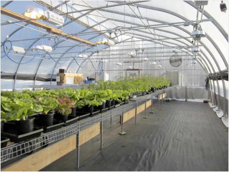 Growing Ideas with Johnny's Selected Seeds What's New at the Farm