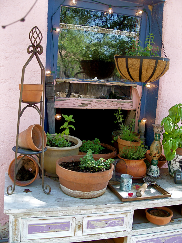 Ewa in the Garden: 10 Beautiful Ideas for Herb Garden