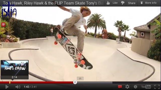 I Skate Therefore I Am Tony Hawk Riley Hawk And Flip Team Skate