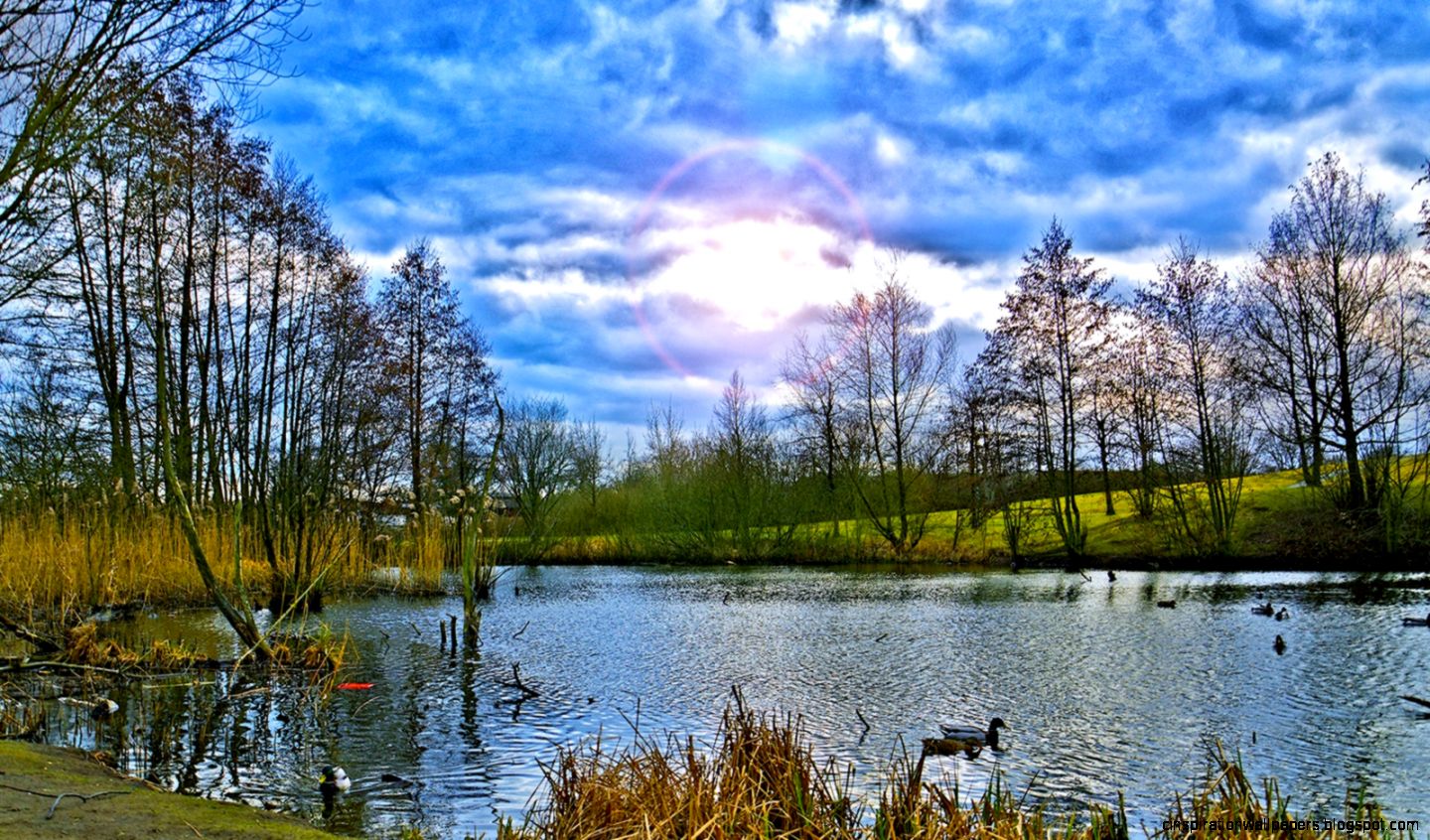 Ducks and lake scenery Wallpaper 1600x900 resolution wallpaper Ducks and lake scenery Wallpaper 1600x900 resolution wallpaper