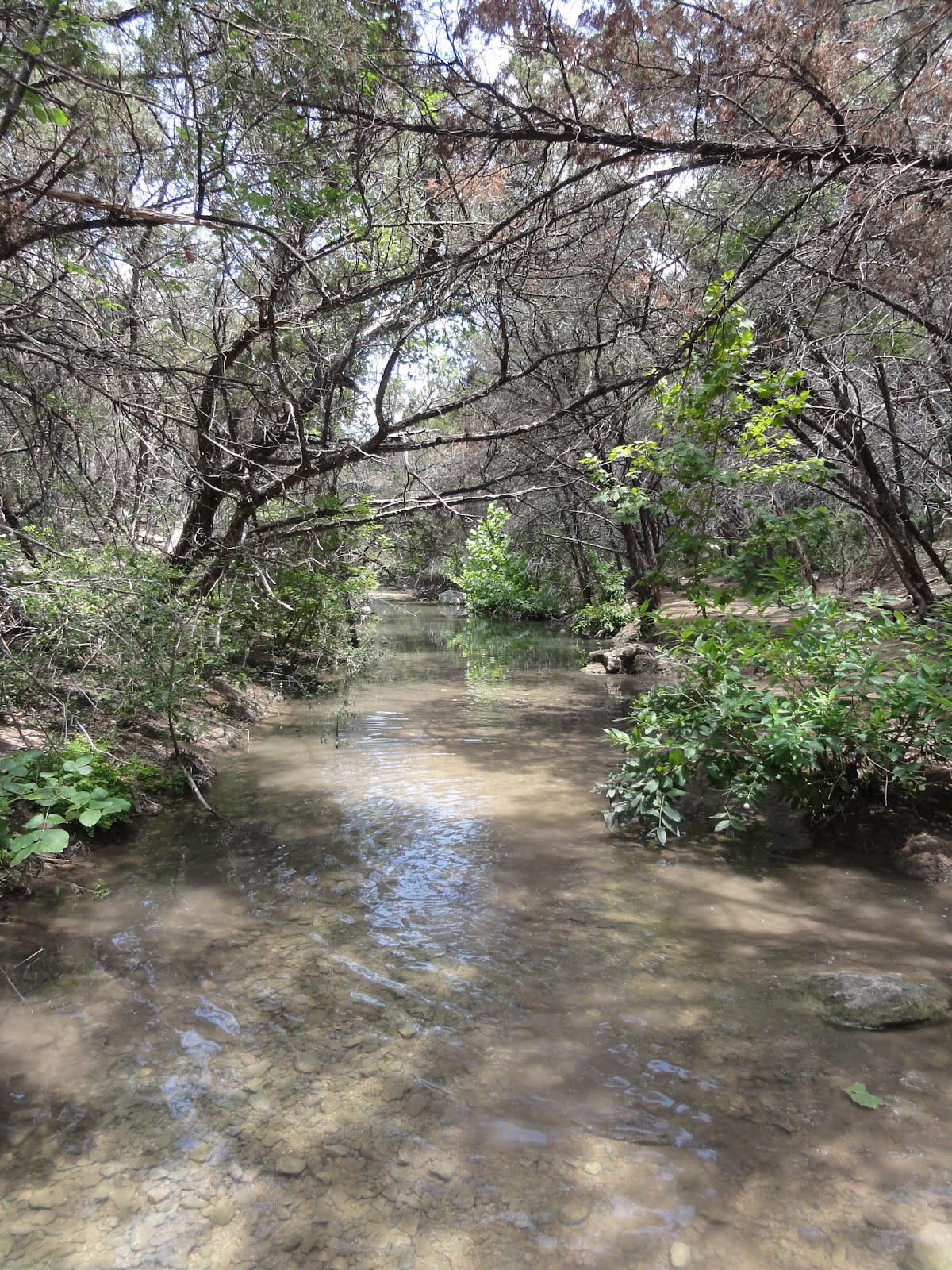 Austin Top 50 Fun in the Sun Turkey Creek Nature Trail