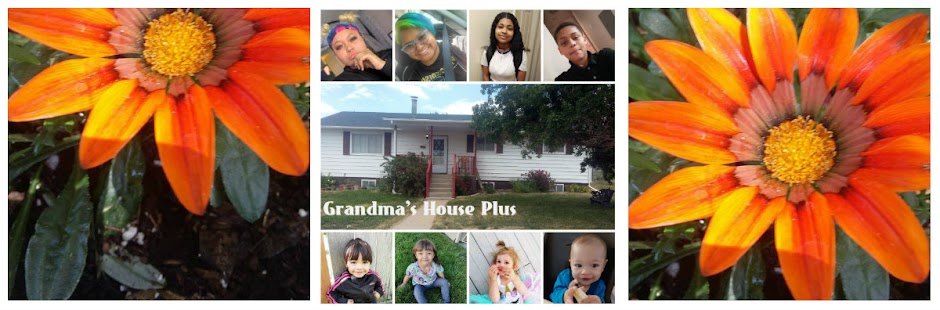 Grandma's House Plus 