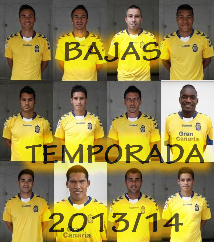 Capítulos de bajas de la UDLP 2013/14. ~ GradaCurva.com