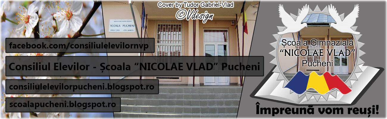 Consiliul Elevilor - Școala "NICOLAE VLAD" Pucheni