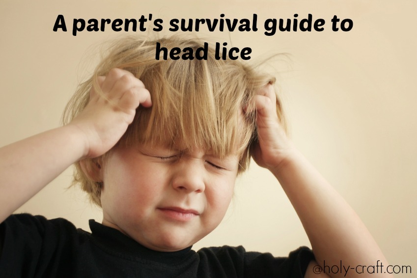 lice blow getting scalp itchy
