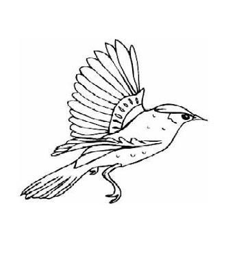 Birds Coloring Pages