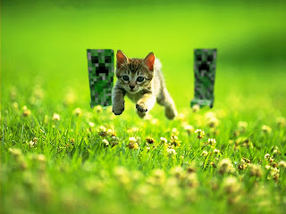 Funny Minecraft Chasing Little Cat HD Wallpaper
