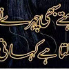 View Wedding Shayari In Urdu PNG View Wedding Shayari In Urdu PNG