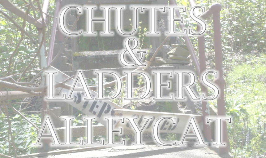 Chutes and Ladders Alleycat