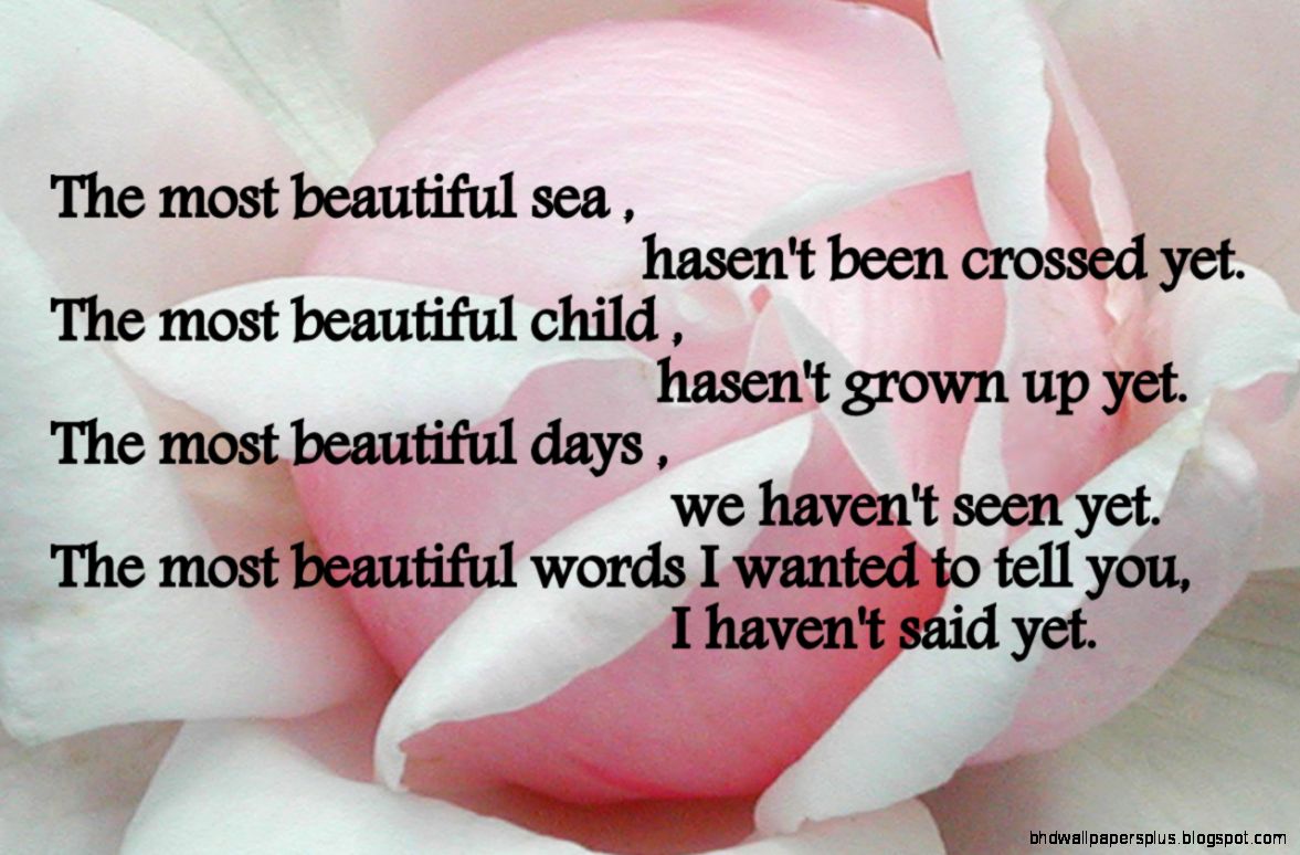 Most Romantic Love Quotes Most Romantic Love Quotes