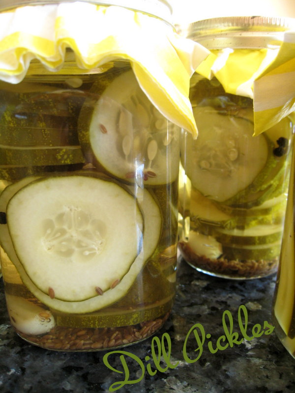 The Way to My Family's Heart OldFashioned Dill Pickles