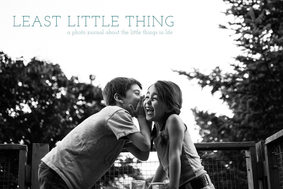 Least Little Thing | photo journal