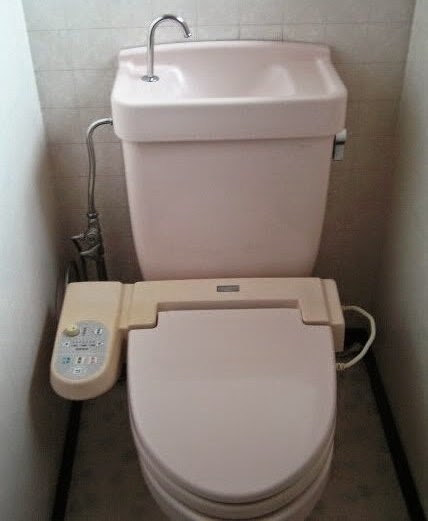 Japanese Girl Pooping In Toilet