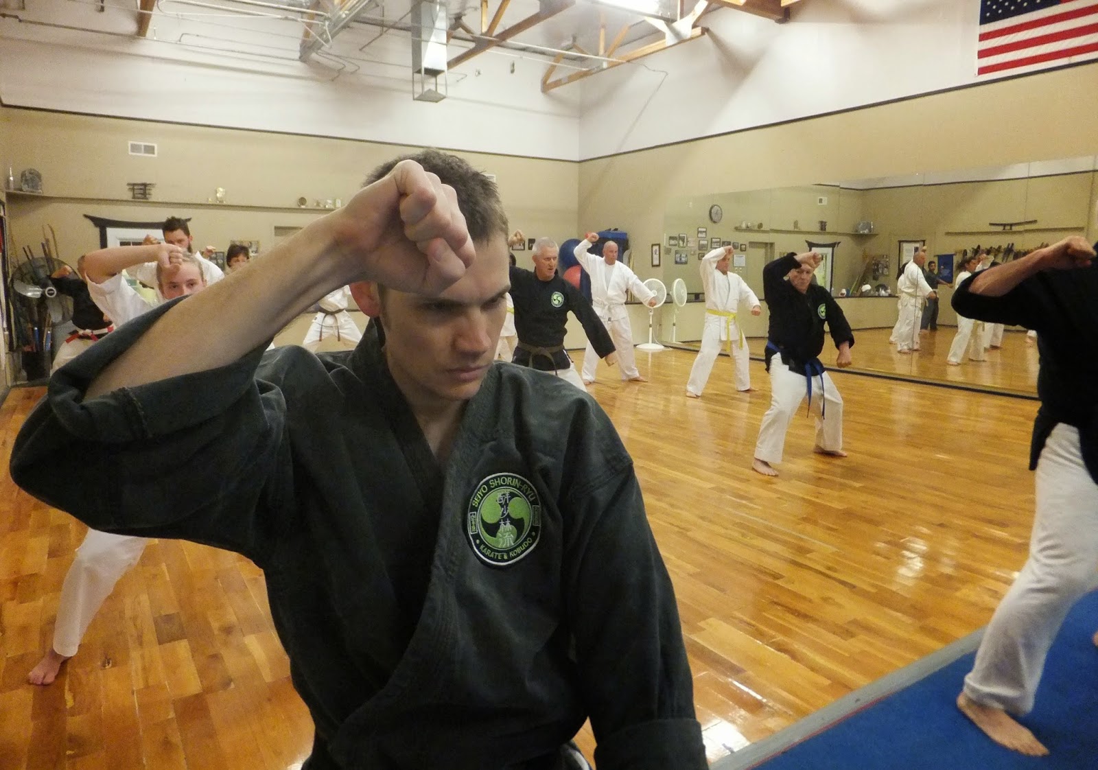 KARATE & KOBUDO KATA Living Encyclopedias of SelfDefense Techniques