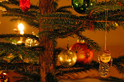 NATUR-WELTEN Unsere schönsten Fotoerlebnisse: Frohe Weihnachten&hellip;