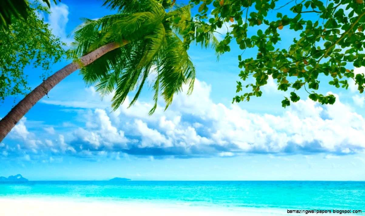 Tropical Beach Resorts HD desktop wallpaper Widescreen High Tropical Beach Resorts HD desktop wallpaper Widescreen High