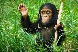 Il Blog Delle Buone Intenzioni Salutare Un Amico Che Se Ne Va