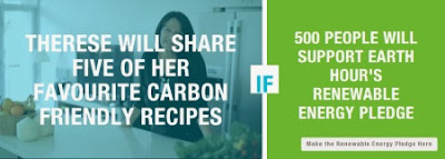 example of Earth Hour's I will if you will pledge