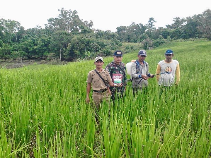 Dokumentasi bersama BABINSA