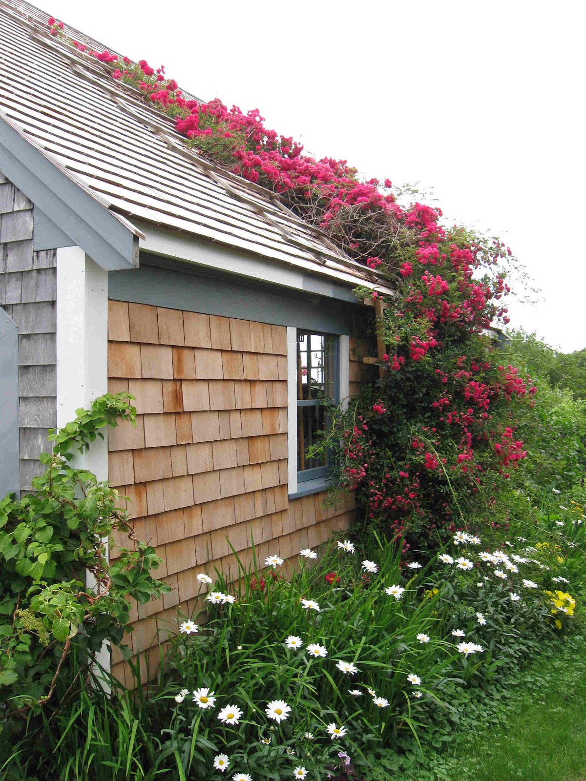 Cape Cod Historic Homes Blog Gardening with Native