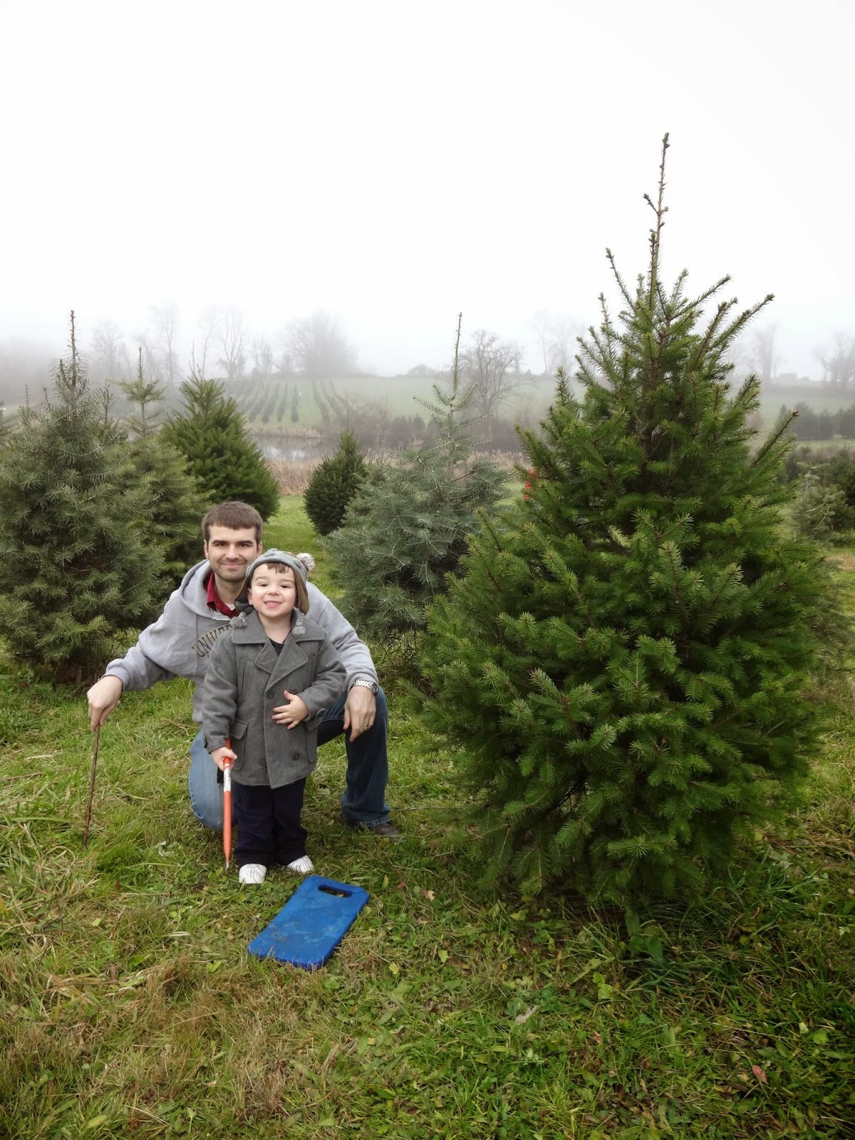 2304 Miles Christmas Tree Farms Old Stone Farm and Evergreen Acres