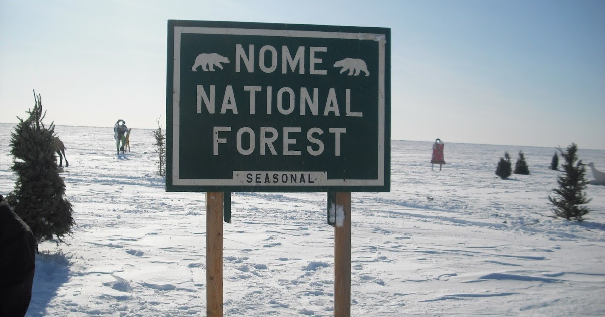 Stebbins2013 Introduction to our Stebbins, Alaska team