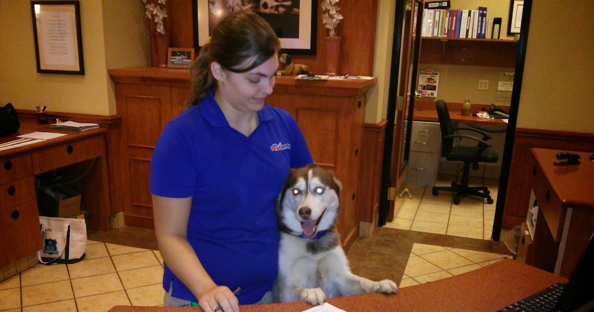 Dogs Luv Us and We Luv Them Is Your Dog Vaccinated Against Kennel Cough?