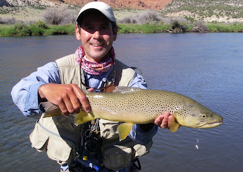 Green River Brown Trout
