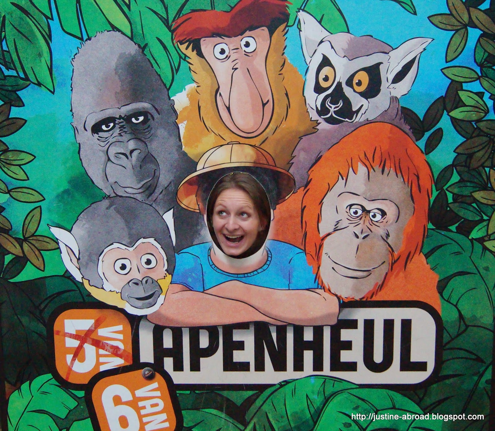 małpy z Apenheul Goryl Jambo, orangutan Sandy, nosacz Jeff, lemur Herbert