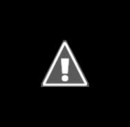 Wild Horses Grazing Wild Horses Grazing