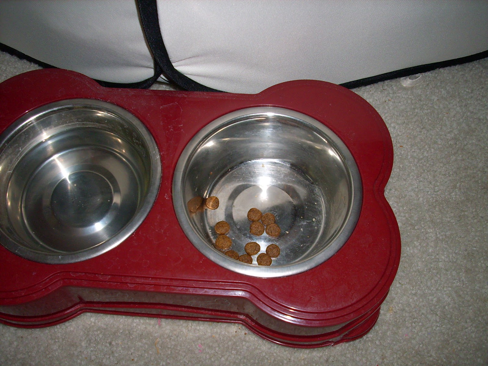 Pepper's Paws Nutro Grain Free Venison and Potato Product Review of