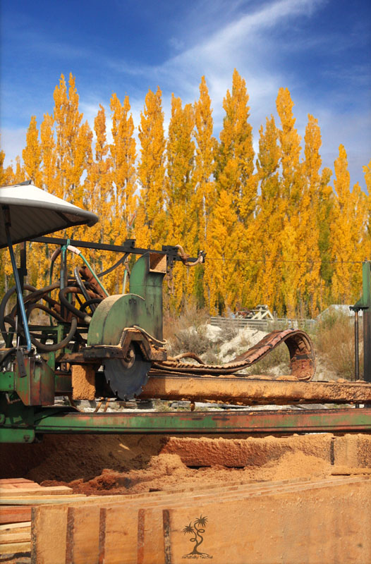 Ironwood Recycled Timbers Ltd Hardwood New Zealand Sawmill