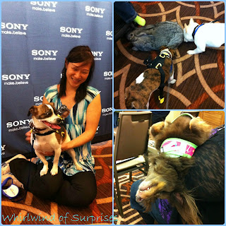 #Frockstar and JR testing out the new Sony Pet Cam and all sorts of furry friends