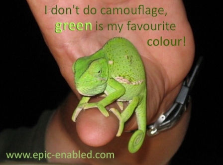 epic camouflage